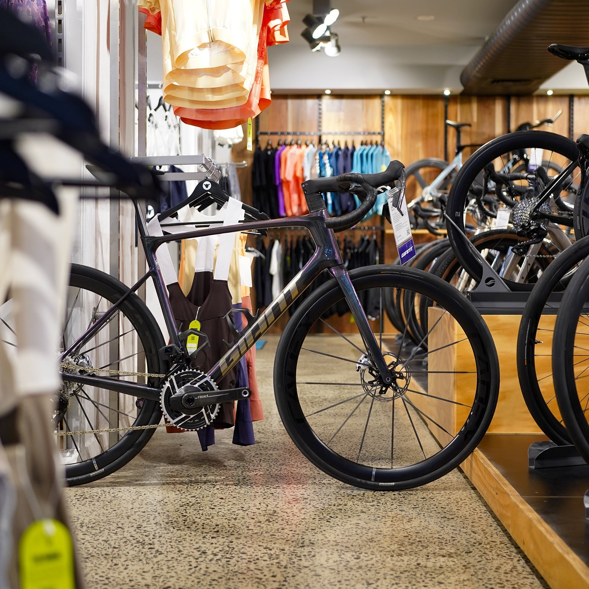 Giant Defy Advanced SL 0 Road Bike - Arctic Light – GIANT SYDNEY