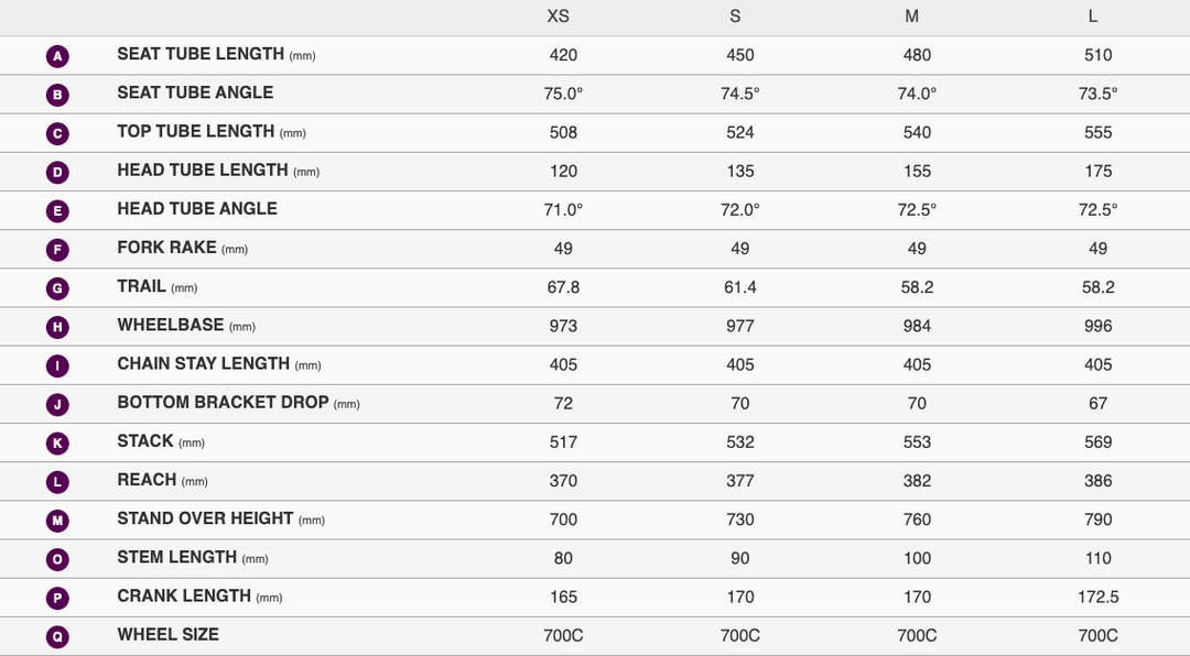 Liv Langma Advanced SL 0 Disc - Raw Carbon