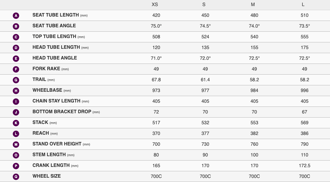 Liv Langma Advanced SL 0 Disc - Raw Carbon