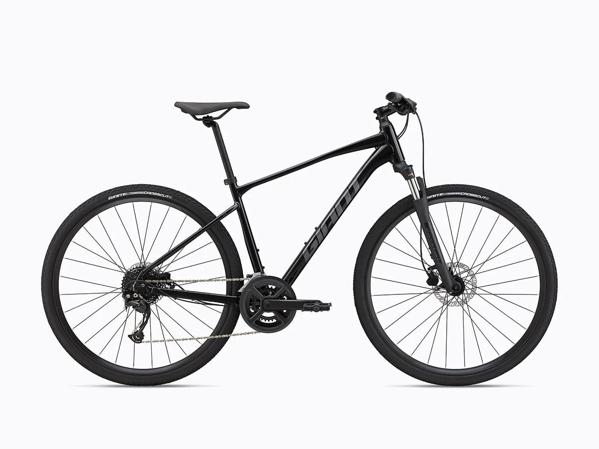 Giant Roam 2 Disc - Black