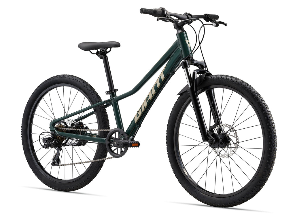 Talon 24 Disc Trekking Green