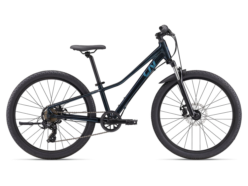 Liv Tempt 24 Disc One Size Starry Night (24)