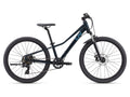 Liv Tempt 24 Disc One Size Starry Night (24)
