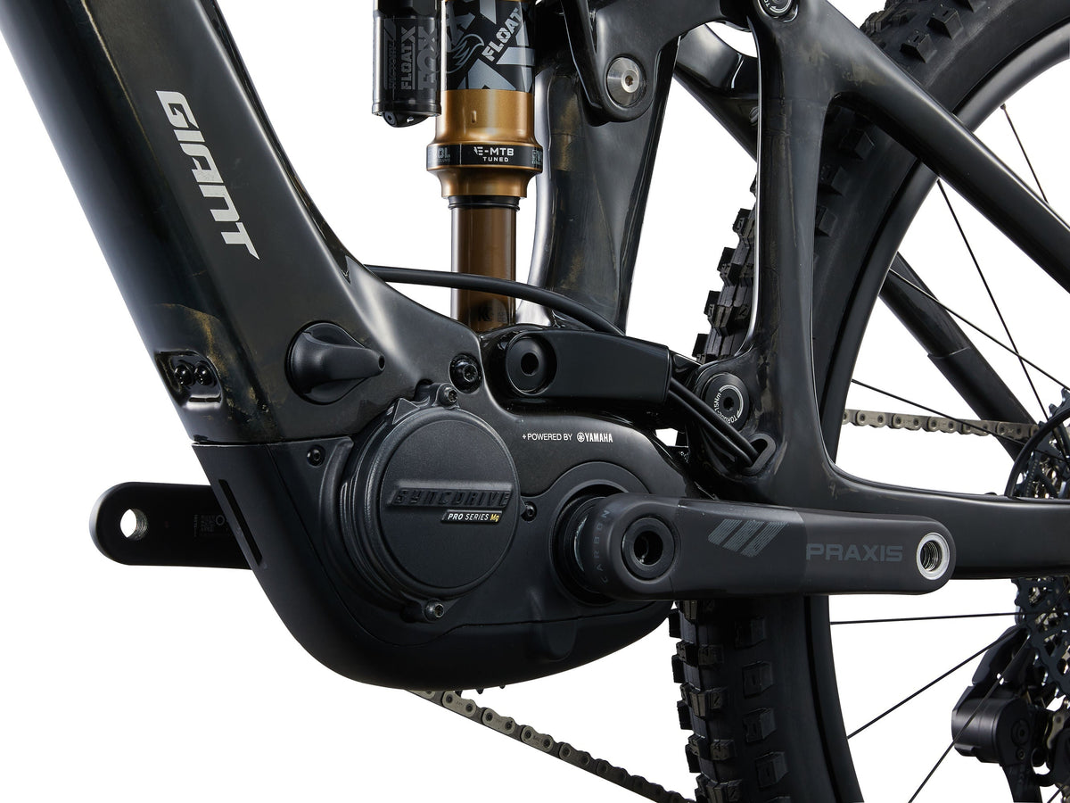 Giant Trance X Advanced E+ 1 - Raw Carbon