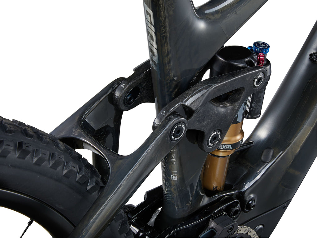 Giant Trance X Advanced E+ 1 - Raw Carbon