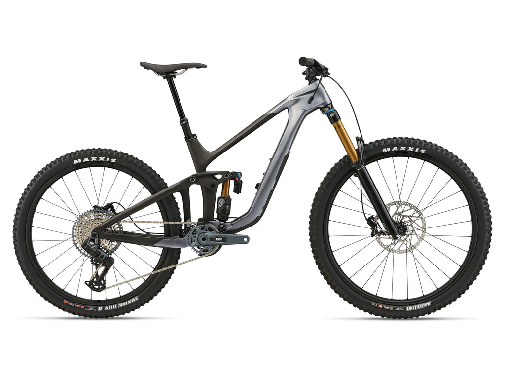 Giant Reign Advanced 1 MTB - Mercury/Raw Carbon