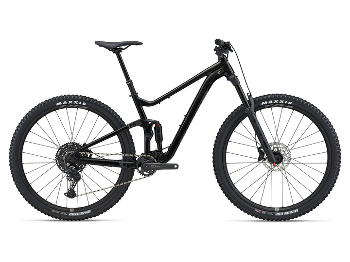 Giant Stance 29 MTB - Panther