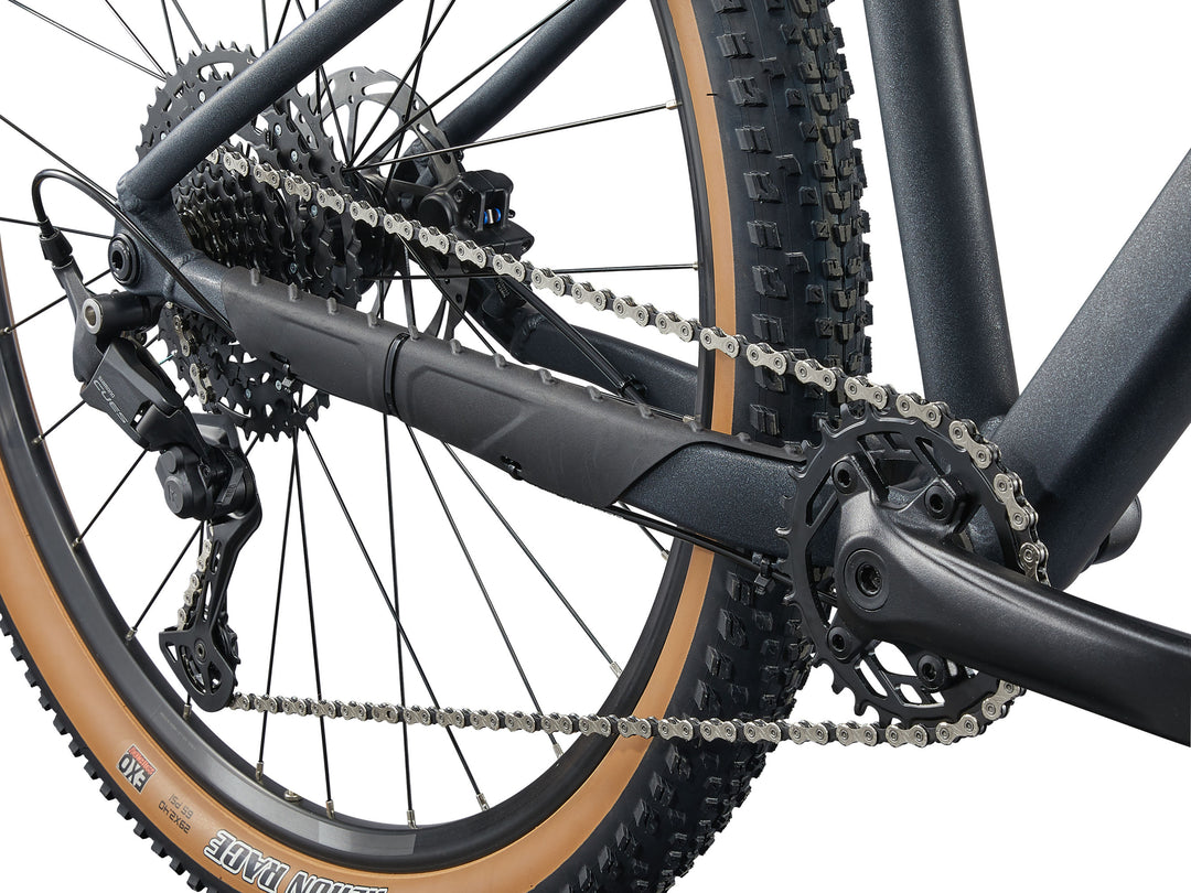 Liv Tempt 29 1 MTB - Black Diamond