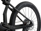 Giant Anthem Advanced SL 0 - Raw Carbon