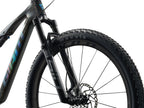 Giant Anthem Advanced SL 1 - Rainbow Black
