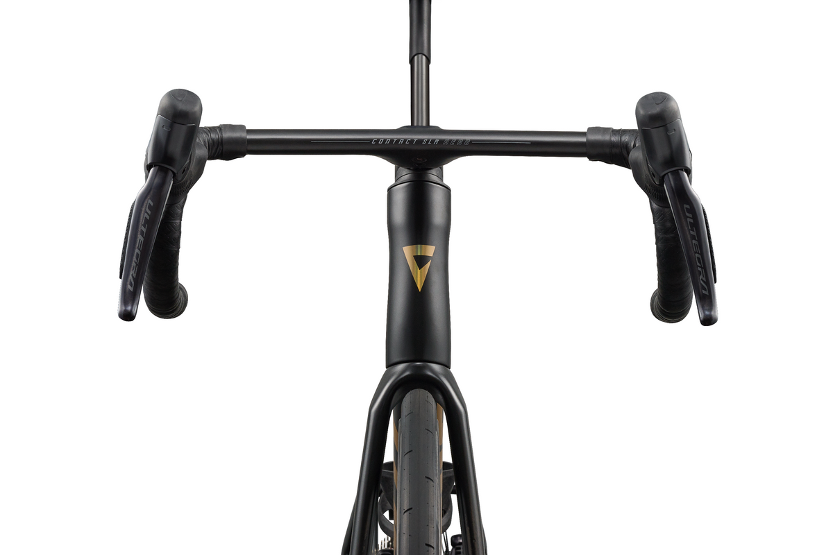 Giant Propel Advanced SL 1 Road Bike - Raw Carbon