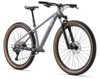 Liv Tempt 29 0 - Stardust Grey