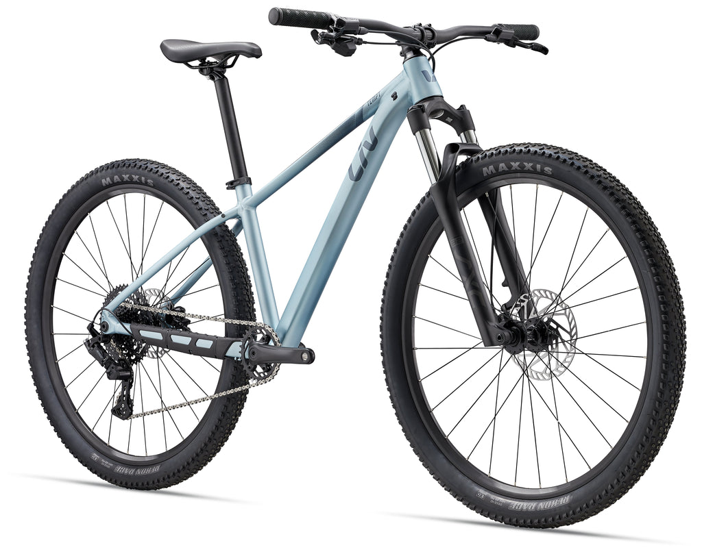 Liv Tempt 27.5 2  - Cryo Silver