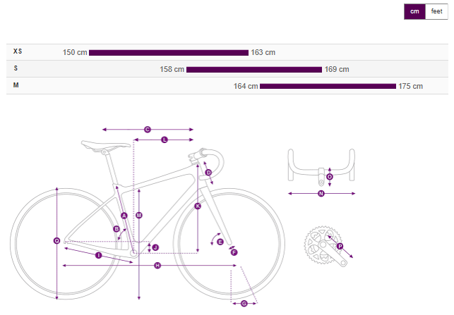 Liv Avail Advanced E+ Elite 0 E-Bike - Raw Carbon