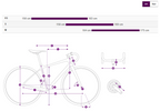 Liv Avail Advanced E+ Elite 0 E-Bike - Raw Carbon