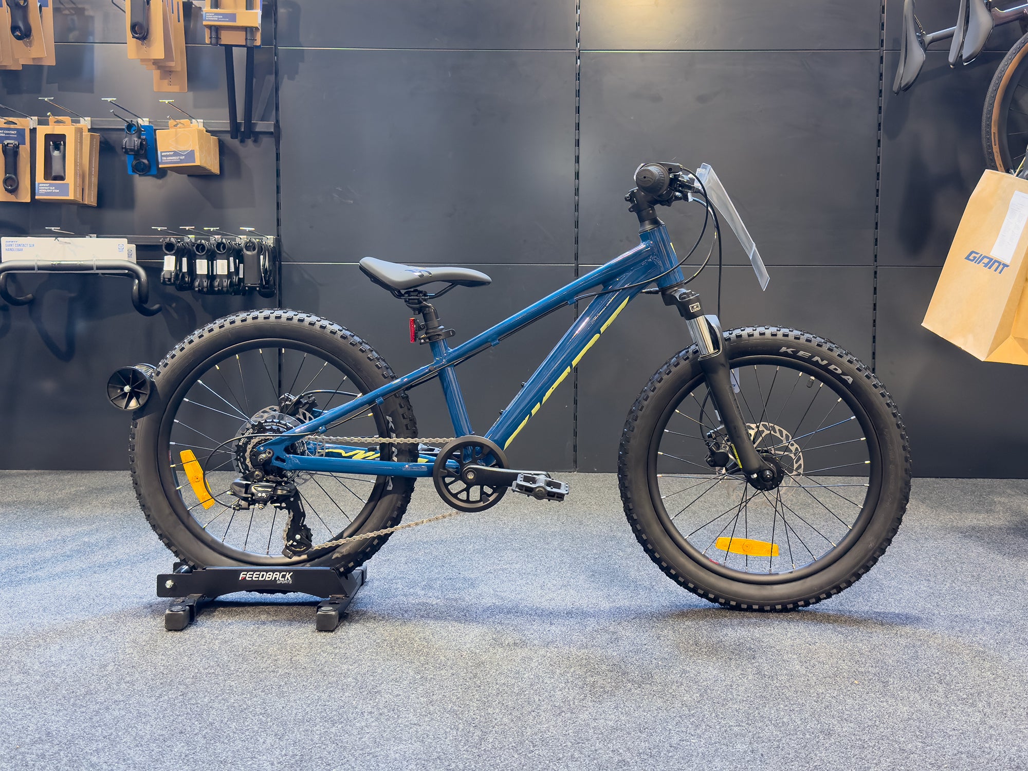 Blue 20 inch bike online