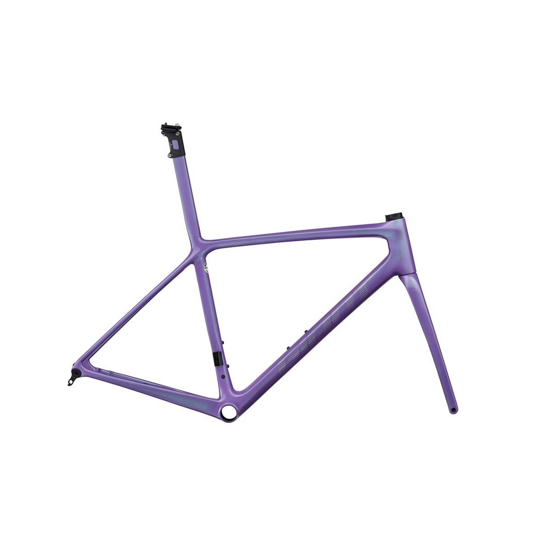 Tcr 2021 frameset sale