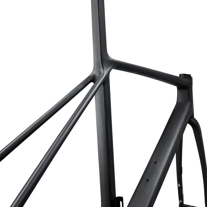 Giant TCR Advanced SL Frameset - Raw Carbon