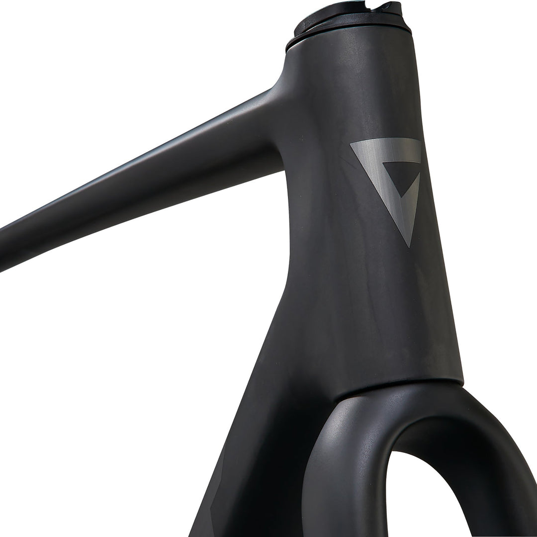 Giant TCR Advanced SL Frameset - Raw Carbon